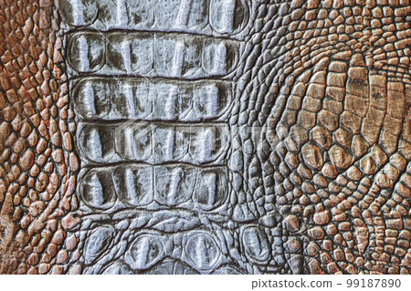 Genuine leather texture with imitation of exotic reptile, trendy background 99187890