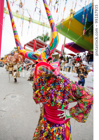 A man in a carnival costume and mask. A man in a carnival costume and mask. 99187935