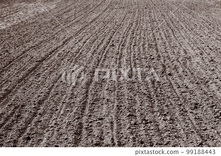plowed furrows in the ground 99188443