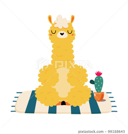 Cute funny baby alpaca meditating in lotus position. Adorable animal practicing yoga exercise cartoon vector illustration Cute funny baby alpaca meditating in lotus position. Adorable animal practicing yoga exercise cartoon vector illustration 99188643
