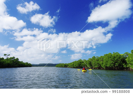 Kayaking on the Nishida River in Iriomote Island, Okinawa Prefecture 99188808