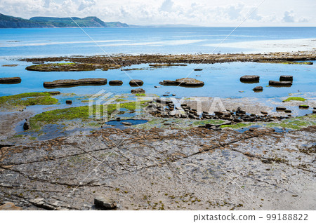 Famous Lyme Regis beach, world heritage site in Dorset, South West England. View of stones and liffs and blue sea. The beach is full of fossils. Selective focus 99188822
