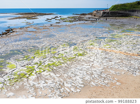 Famous Lyme Regis beach, world heritage site in Dorset, South West England. View of stones and liffs and blue sea. The beach is full of fossils. Selective focus Famous Lyme Regis beach, world heritage site in Dorset, South West England. View of stones and liffs and blue sea. The beach is full of fossils. Selective focus 99188823