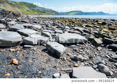 Famous Lyme Regis beach, world heritage site in Dorset, South West England. View of stones and liffs and blue sea. The beach is full of fossils. Selective focus Famous Lyme Regis beach, world heritage site in Dorset, South West England. View of stones and liffs and blue sea. The beach is full of fossils. Selective focus 99188824
