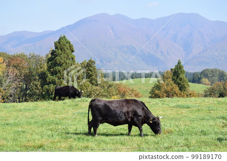 放牧 月山高原牧場 山形縣 99189170