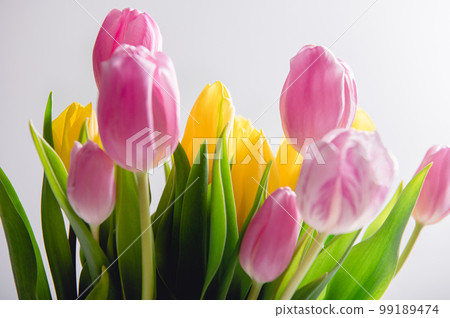Bunch of Colorful Tulips Bunch of Colorful Tulips 99189474