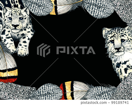 Watercolor frame of feathers and snow leopard on black background. Nature illustration for kids design and postcards. Watercolor frame of feathers and snow leopard on black background. Nature illustration for kids design and postcards. 99189741