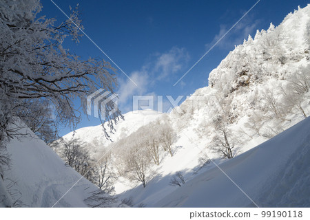 Scenery of Zao: Bodaira Highlands, Senninzawa icefall Scenery of Zao: Bodaira Highlands, Senninzawa icefall 99190118