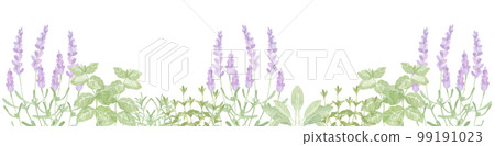 Watercolor herb garden Watercolor herb garden 99191023