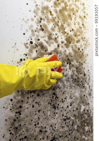 A close-up of a woman's hand in yellow rubber gloves wipes mold from the wall. cleaning concept. A close-up of a woman's hand in yellow rubber gloves wipes mold from the wall. cleaning concept. 99191057