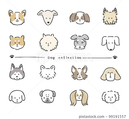 狗例證集合 99191557