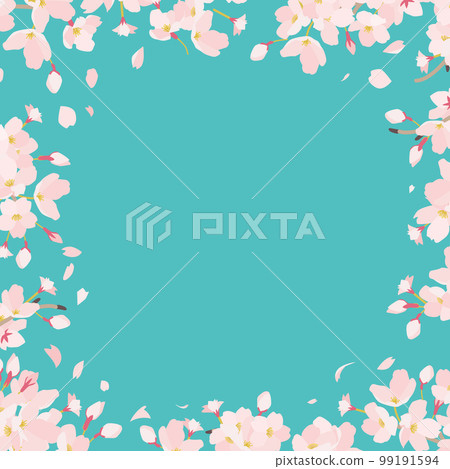 Cherry blossom hollow frame blue sky square 99191594