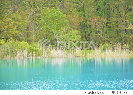 Goshiki-numa, a scenic spot in Urabandai Goshiki-numa, a scenic spot in Urabandai 99191851