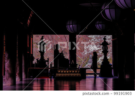 祈禱櫻桃色長谷寺水平構圖 99191903