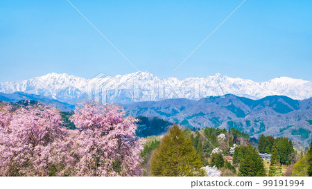 Spring in Ogawa Village, Shinshu (cherry blossoms and the Northern Alps) 99191994