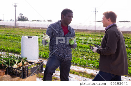 Two farmers talking among themselves during a break in work on the field 99193641