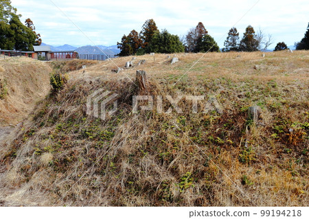 The restored Yakuimon Gate and Karahori Crescent Moat of Suwahara Castle The restored Yakuimon Gate and Karahori Crescent Moat of Suwahara Castle 99194218