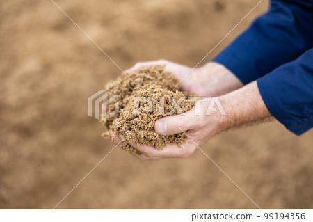 Hands of male farmworker holding handful of brewers grains Hands of male farmworker holding handful of brewers grains 99194356