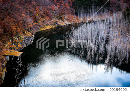 湯西川壩湖上雄偉而美麗的淹沒森林 湯西川壩湖上雄偉而美麗的淹沒森林 99194603