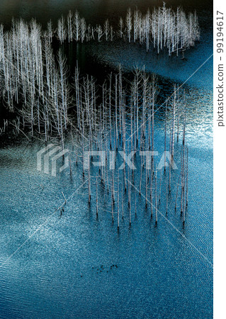 湯西川壩湖上雄偉而美麗的淹沒森林 99194617