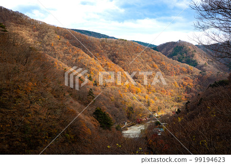 Late autumn mountain scenery with a river Autumn leaves in Oku-Nikko Late autumn mountain scenery with a river Autumn leaves in Oku-Nikko 99194623