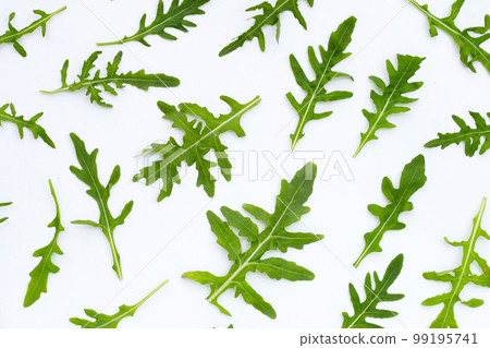 Fresh green rocket salad on white background. 99195741