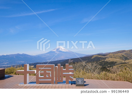 Mt. Fuji from Jukkoku Pass, Shizuoka Prefecture 99196449