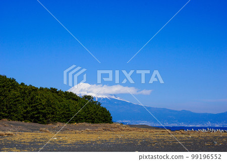 從三保松原看到的富士山 從三保松原看到的富士山 99196552
