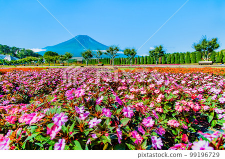 Flowers and Mt.Fuji ~Yamanakako Hananomiyako Park~ Flowers and Mt.Fuji ~Yamanakako Hananomiyako Park~ 99196729