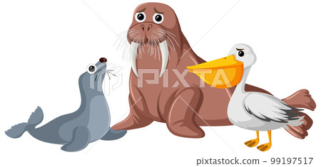 Walrus seal and pelican with sad face expression Walrus seal and pelican with sad face expression 99197517