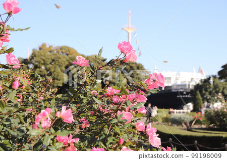 橫濱山下公園 99198009