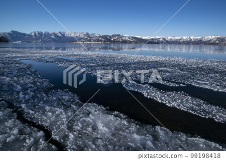 Frosted flower 99198418