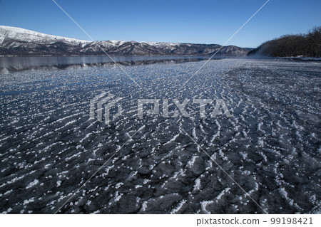 磨砂的花 磨砂的花 99198421