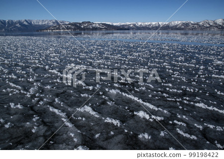 磨砂的花 99198422