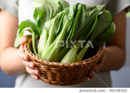 Organic bok choy holding by woman hand, Vegetables from local farmers market in spring season, Sustainability concept Organic bok choy holding by woman hand, Vegetables from local farmers market in spring season, Sustainability concept 99198568