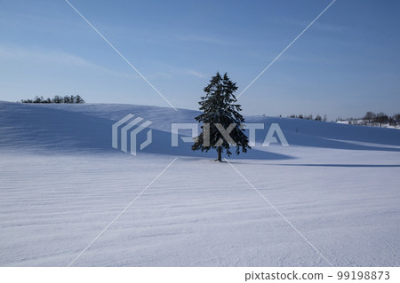 雪原的山丘 99198873