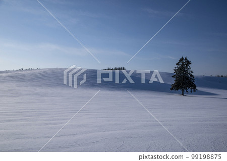 Hill of the snowy field 99198875