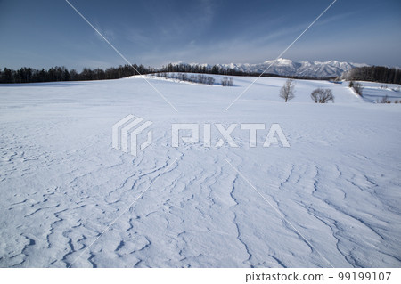 在一個多雪的領域的地球 99199107