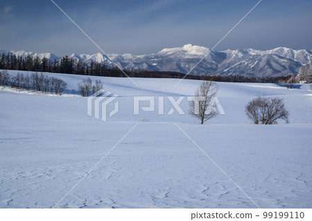在一個多雪的領域的地球 在一個多雪的領域的地球 99199110