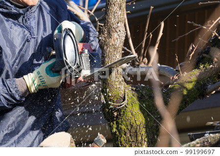 用電鋸修剪柿子樹 99199697