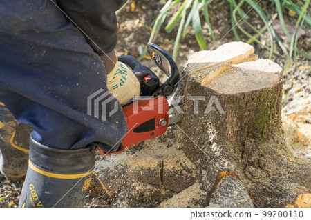 cut a stump with a chainsaw cut a stump with a chainsaw 99200110