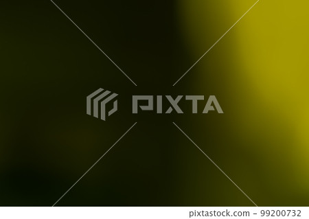 Background material / image material with the image of gradation 99200732