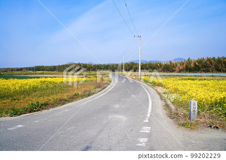 善入寺島參拜路【德島縣阿波市】 99202229