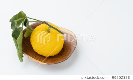 Yuzu with leaves 99202528