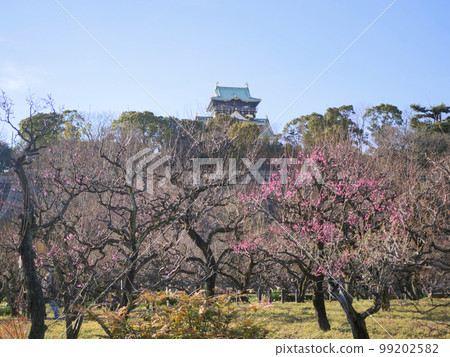 Plum Osaka Castle Plum Osaka Castle 99202582