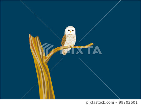 Ezo owl 08 night Ezo owl 08 night 99202601