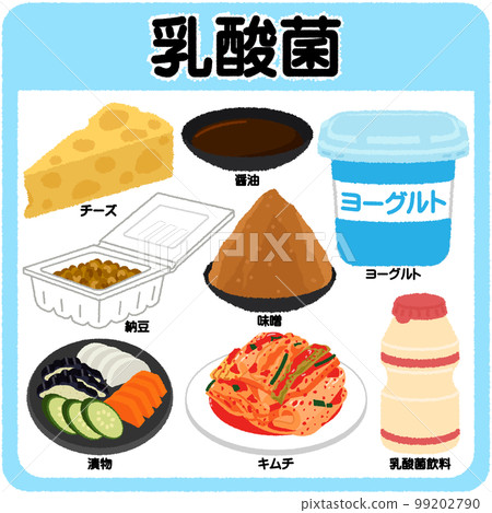 乳酸菌圖解 99202790