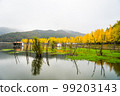 Mungwon Reservoir 99203143