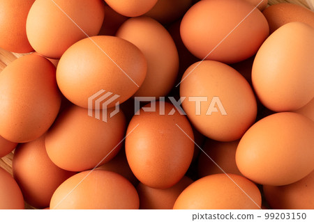 雞蛋(紅球) 雞蛋(紅球) 99203150