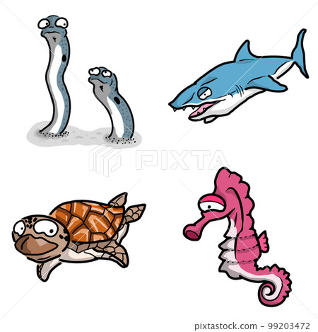 海洋生物(海馬、海龜、鯊魚、花園鰻) 海洋生物(海馬、海龜、鯊魚、花園鰻) 99203472
